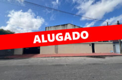 Apartamento Pra Alugar No São João Do Tauape